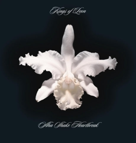 Kings Of Leon - Aha shake heartbreak (LP)