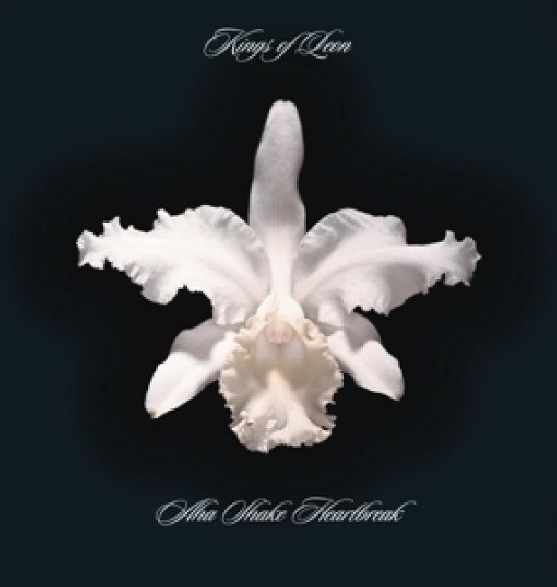 Kings Of Leon - Aha shake heartbreak (LP)