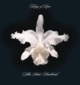 Kings Of Leon - Aha shake heartbreak (LP)