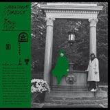 King Tuff - Smalltown stardust (LP) - Velvet Music
