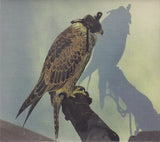 Iceage - You're Nothing (tweedehands CD) - Velvet Music