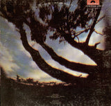 Rare Bird - Epic Forest (LP d'occasion)