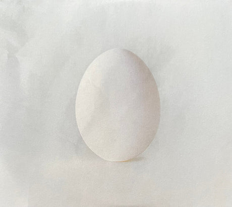 Wilco - A Ghost Is Born (CD) - Velvet Music