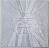 Wilco - A Ghost Is Born (LP) - Velvet Music