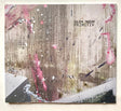 Julien Tassin - Primitiv (tweedehands CD) - Velvet Music