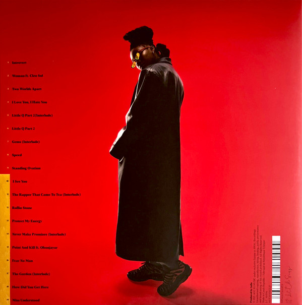 Little Simz-Sometimes I Might Be Introvert-LPg32zXpzHrE2aL_-hGq_TLGK4oVHvfMqVaneEcMr6O-ENDMtMzQ2Ny5qcGVn.jpeg