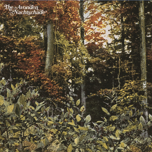 Avonden-The-Nachtschade