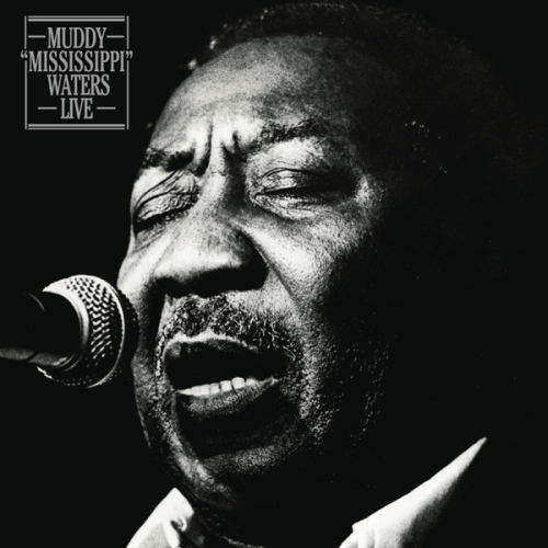 Muddy-Waters-Muddy-mississippi-waters-live