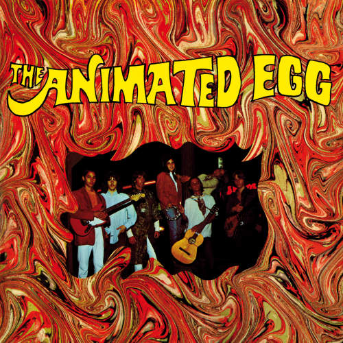 Animated-Egg-Animated-egg